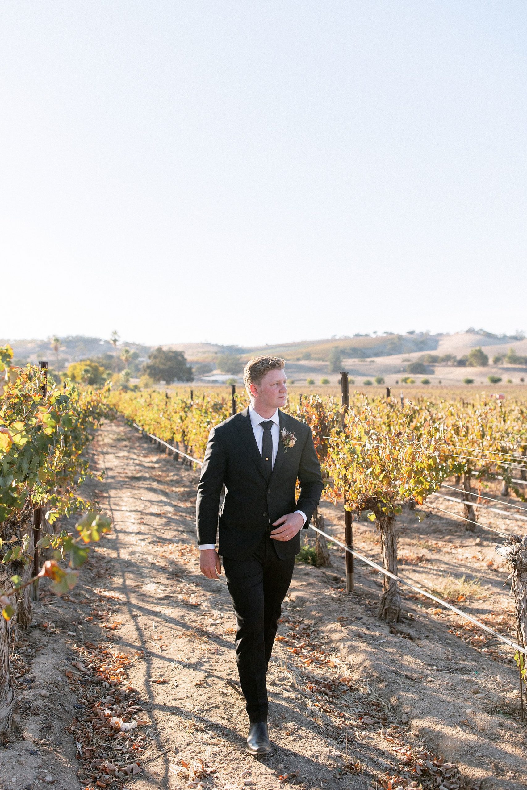Groom walking in the vineyards at his Cass Winery wedding