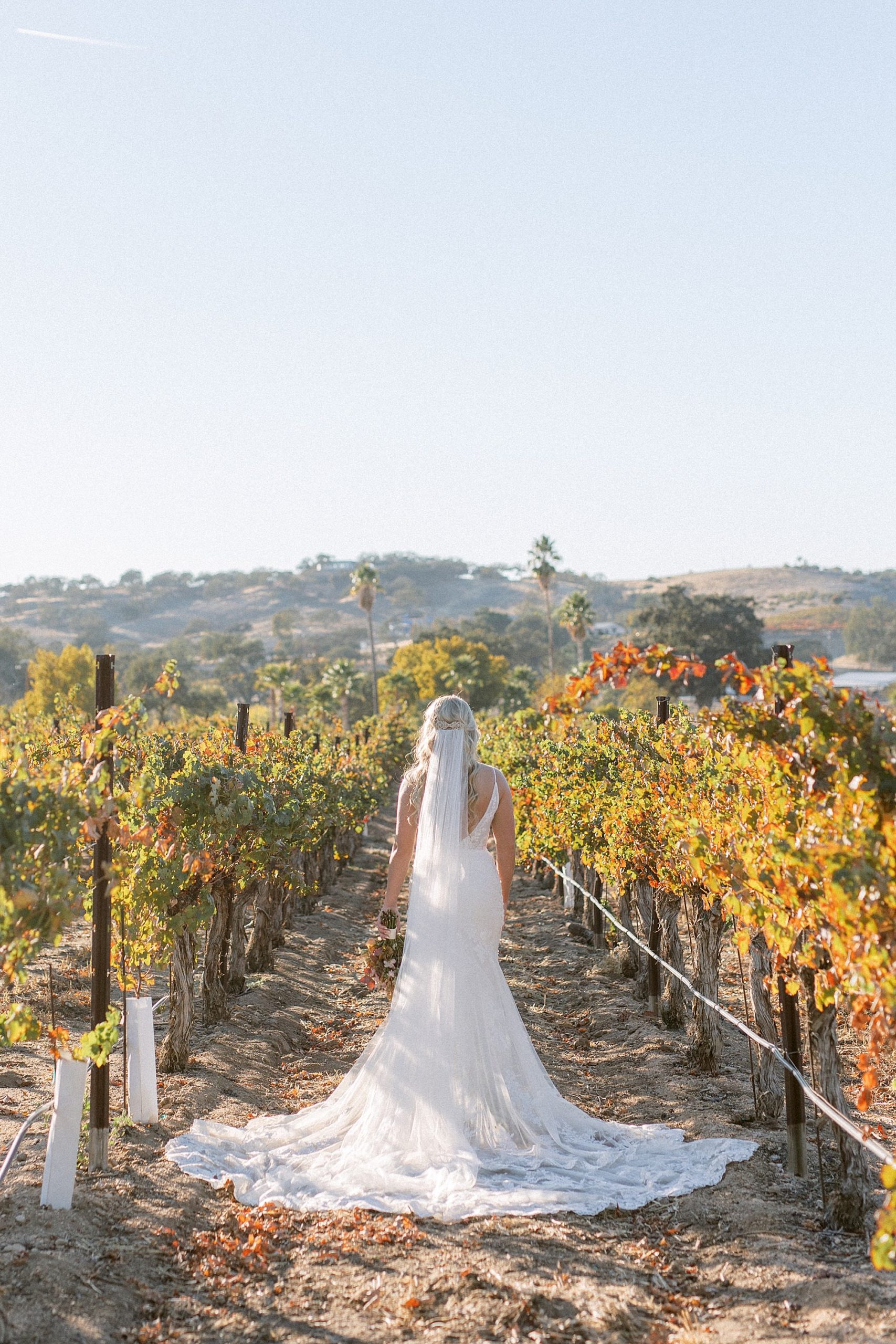 Bride standing in vineyards in Paso Robles