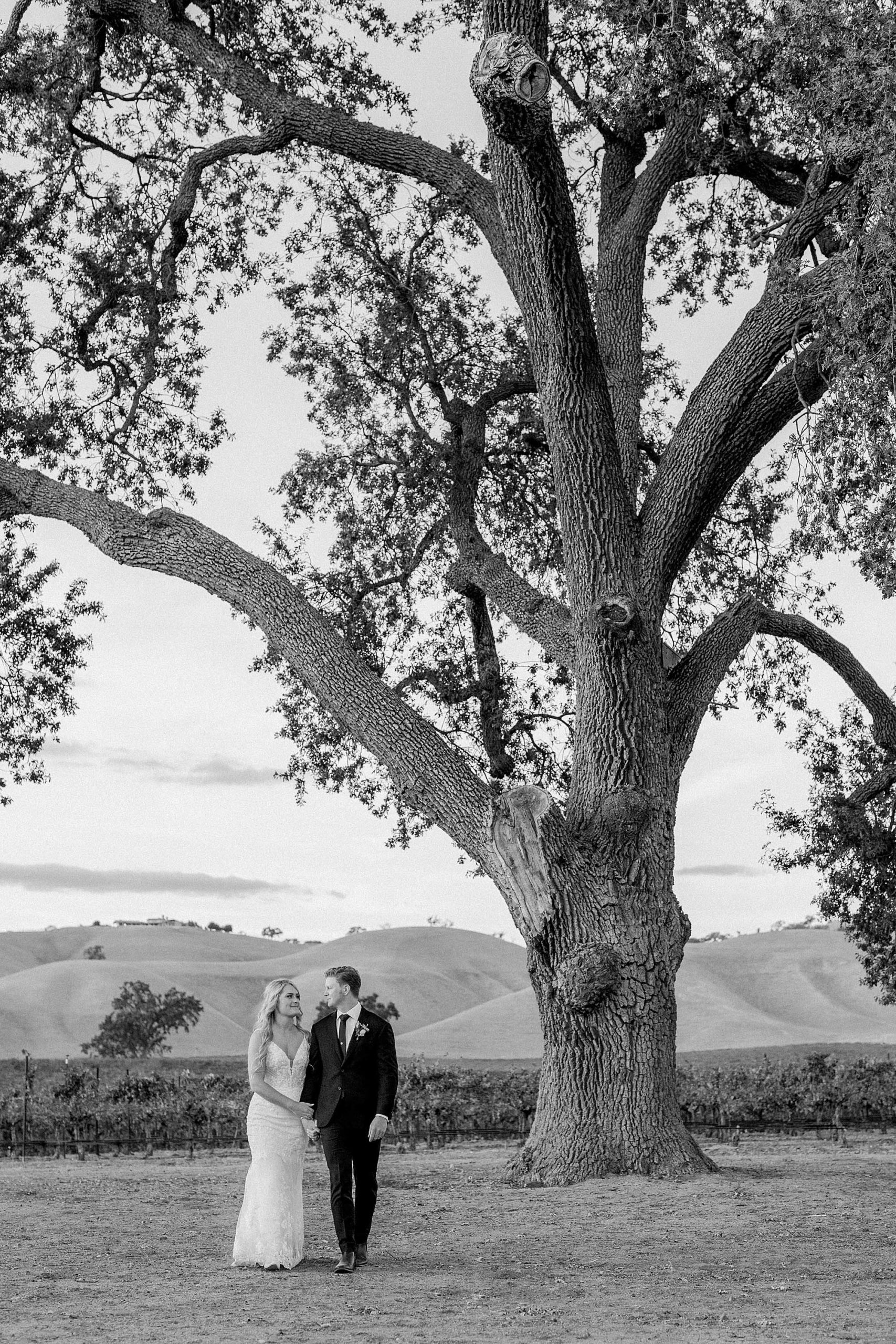 bride and groom at their Paso Robles wedding