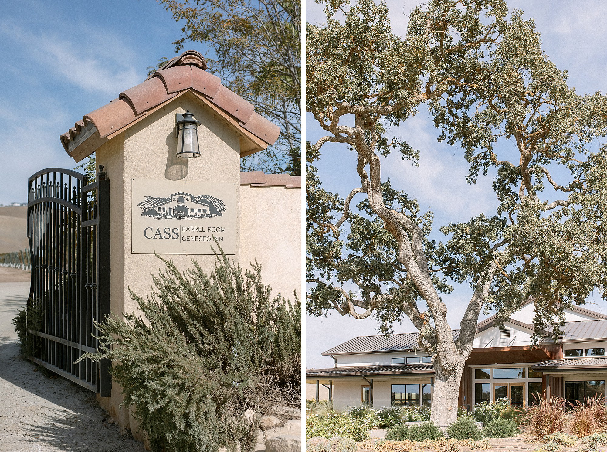 Cass Winery in Paso Roles