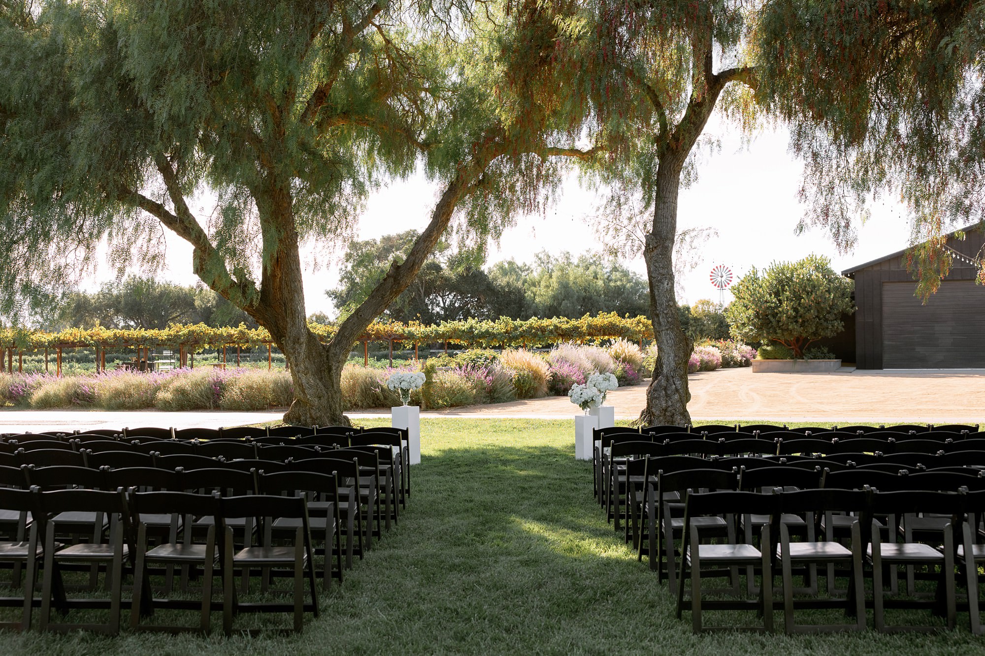 Roblar Farm wedding ceremony chairs