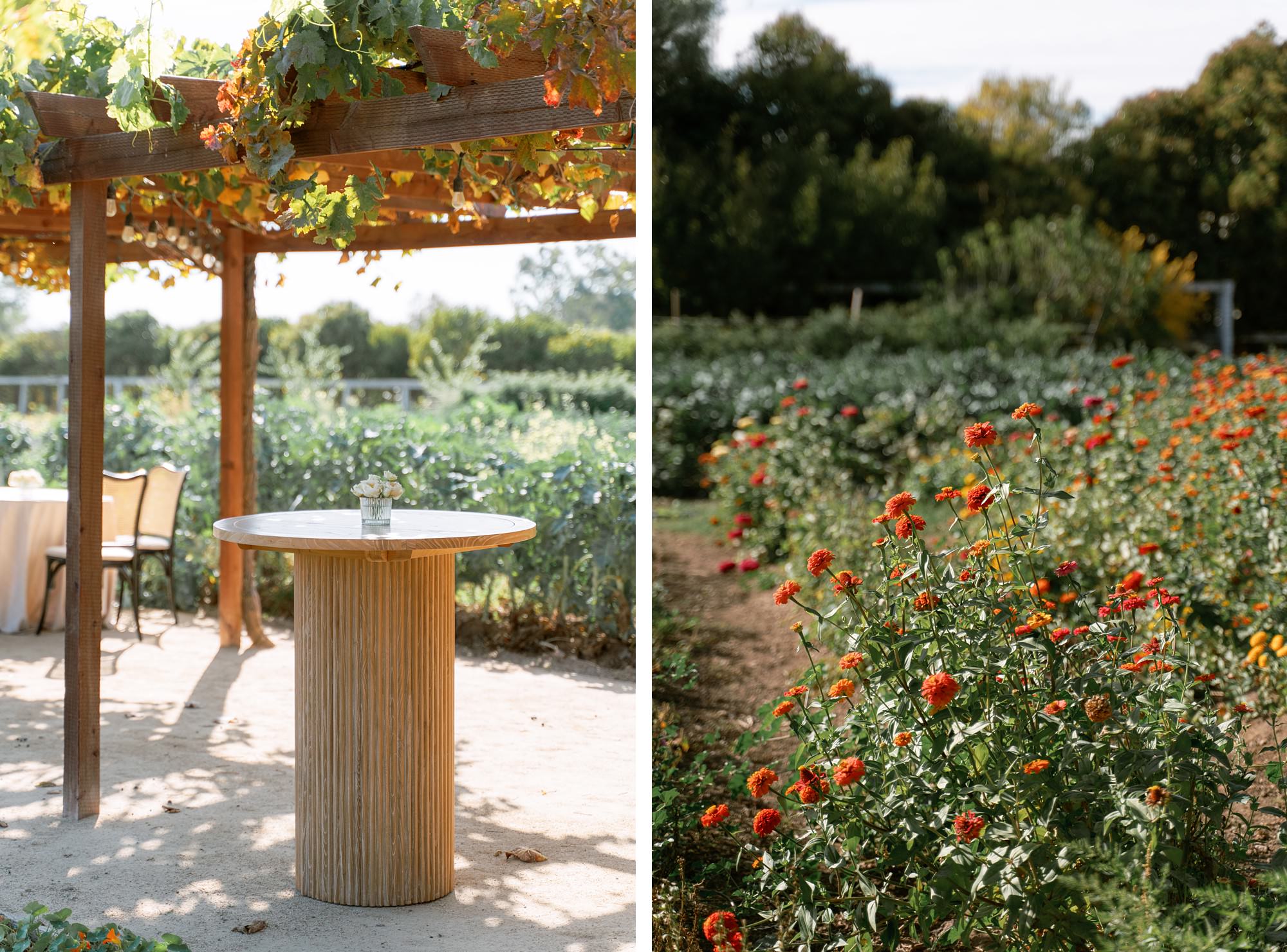 Roblar Farm cocktail hour details