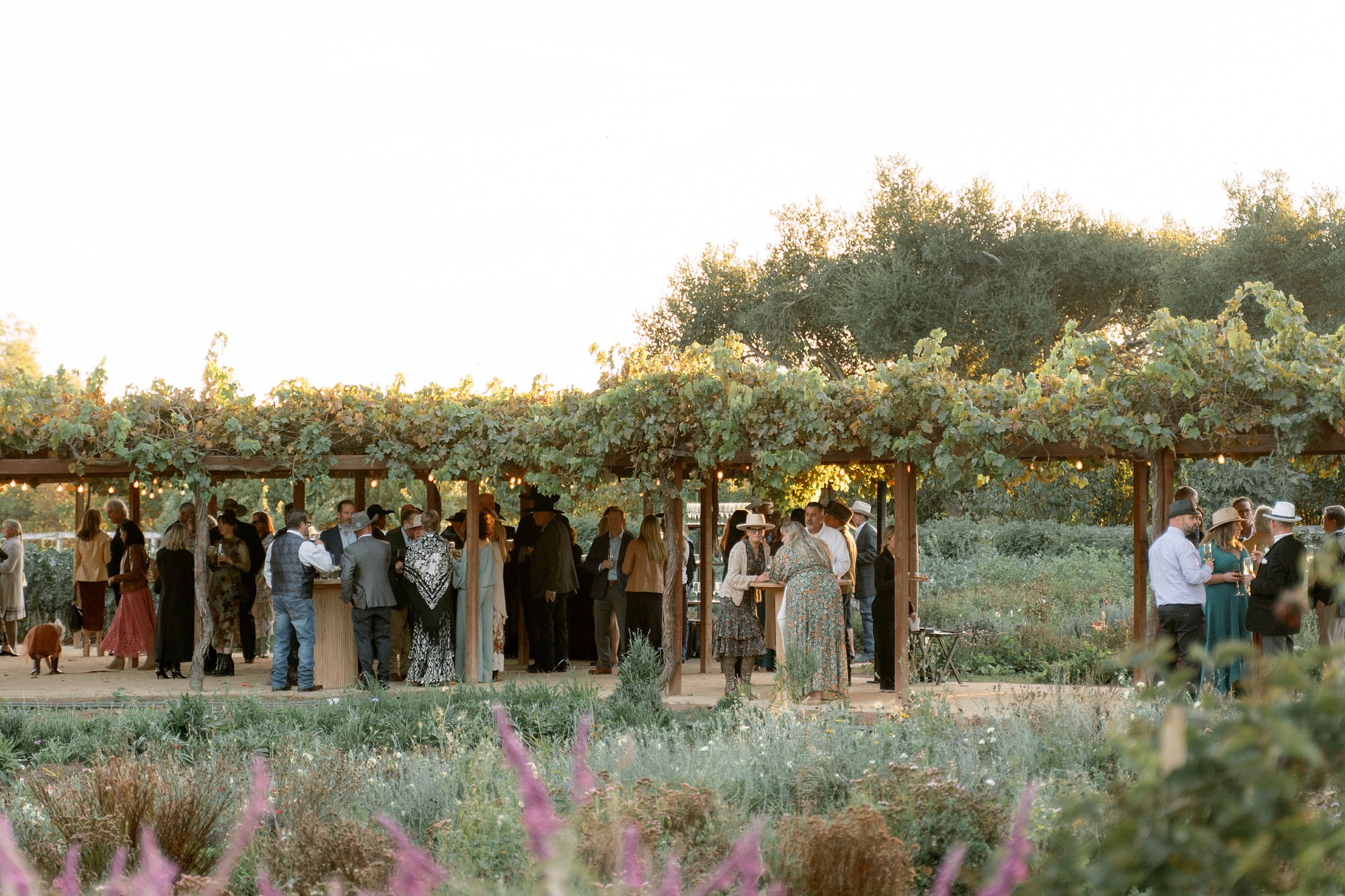 Cocktail hour at sunset