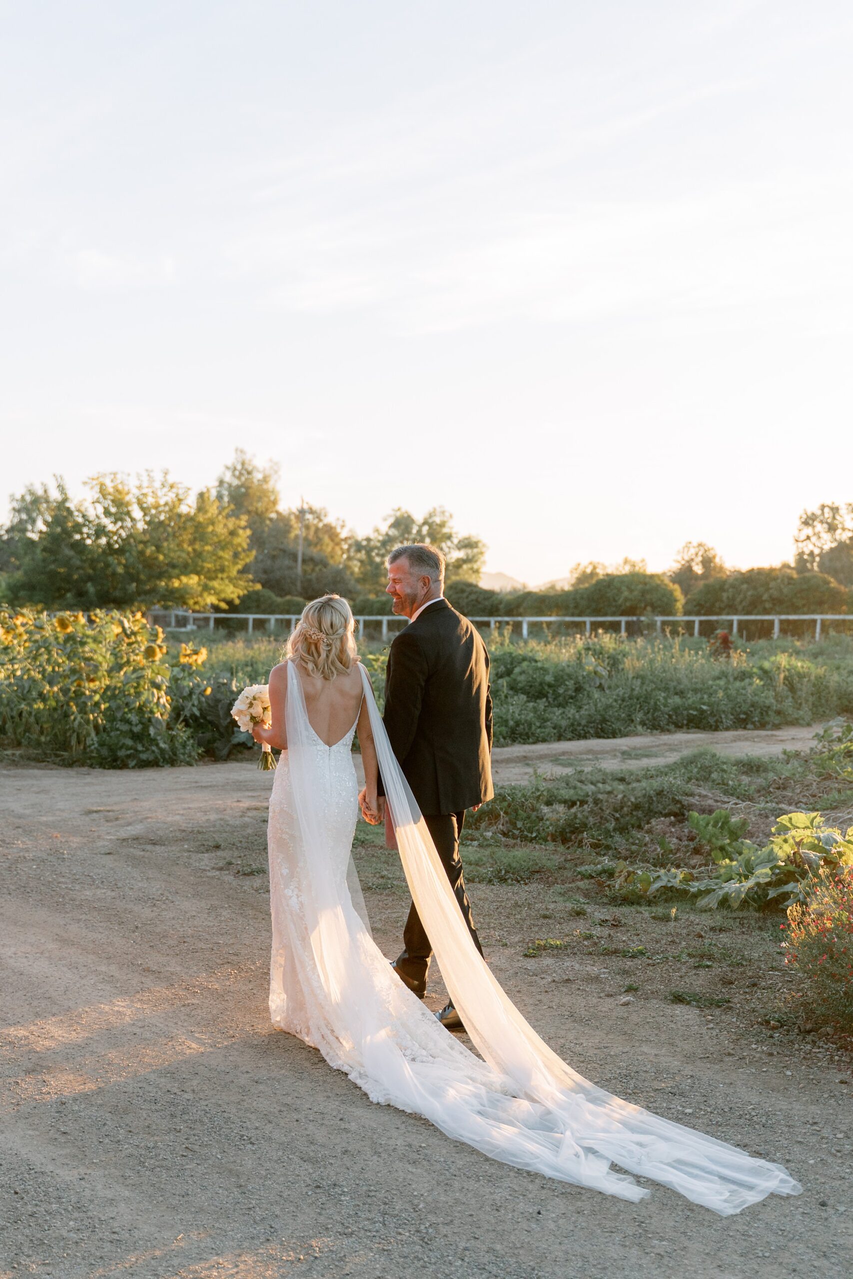 Sunset newlywed portraits at Roblar Farm