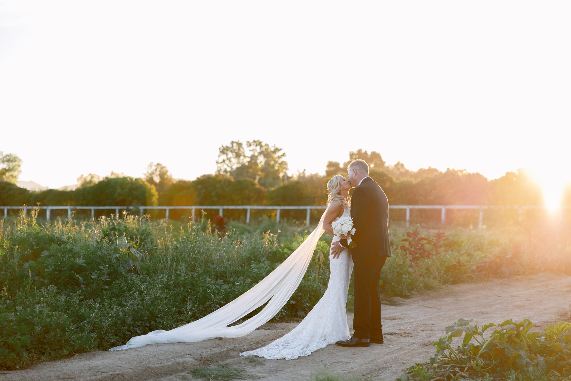 Roblar Farm wedding day sunset photos