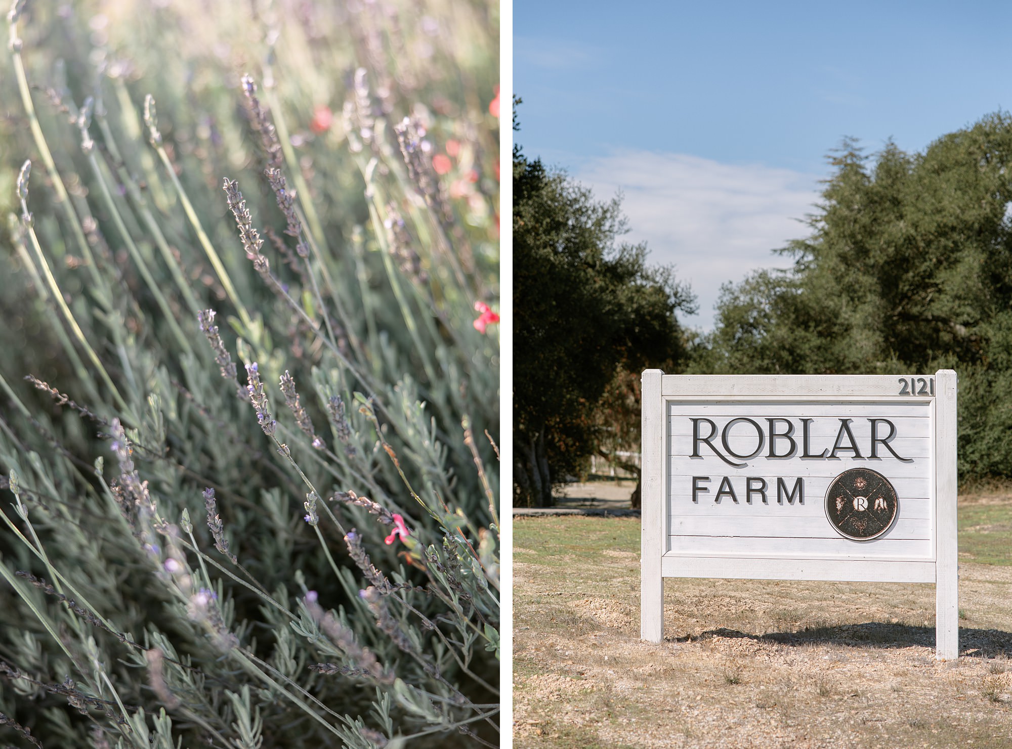 Roblar Farm details