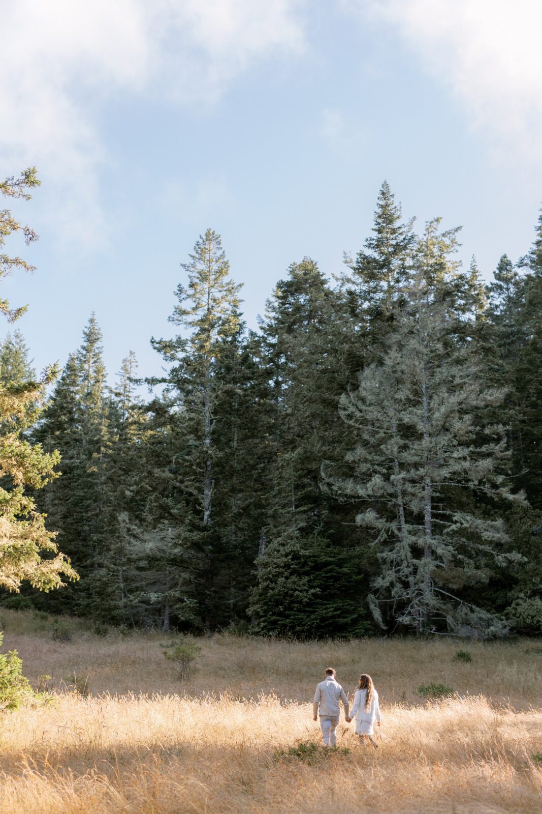 Sonoma engagement photos