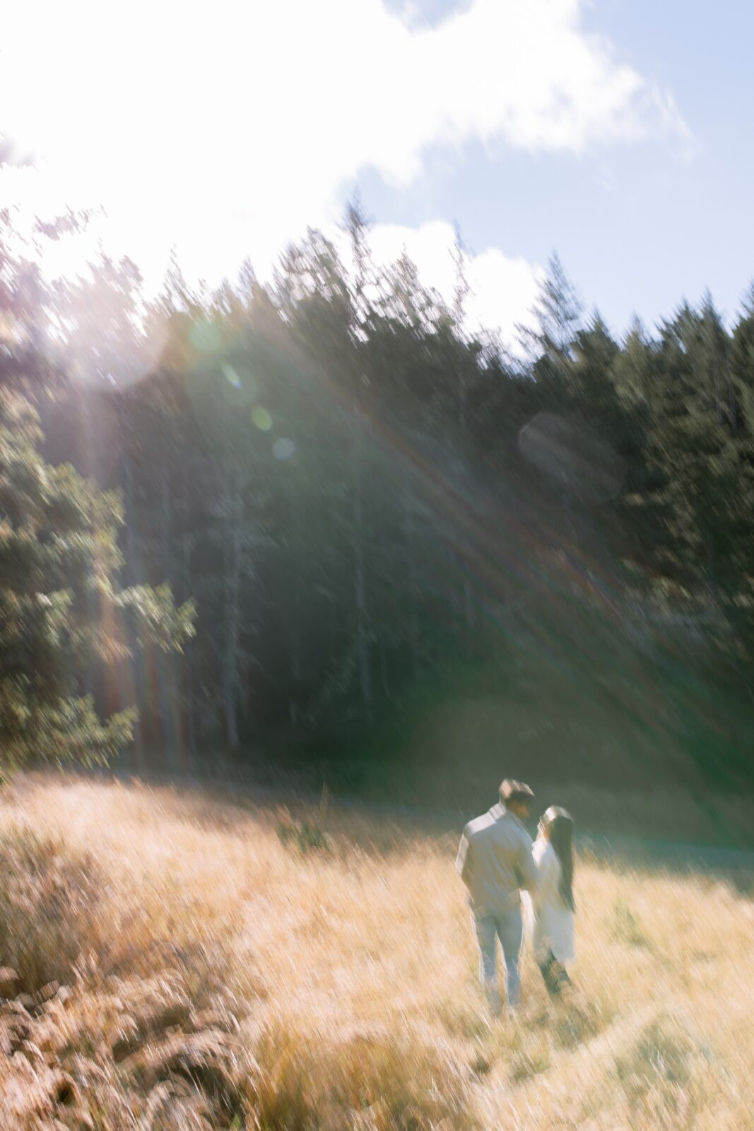 Northern California engagement session