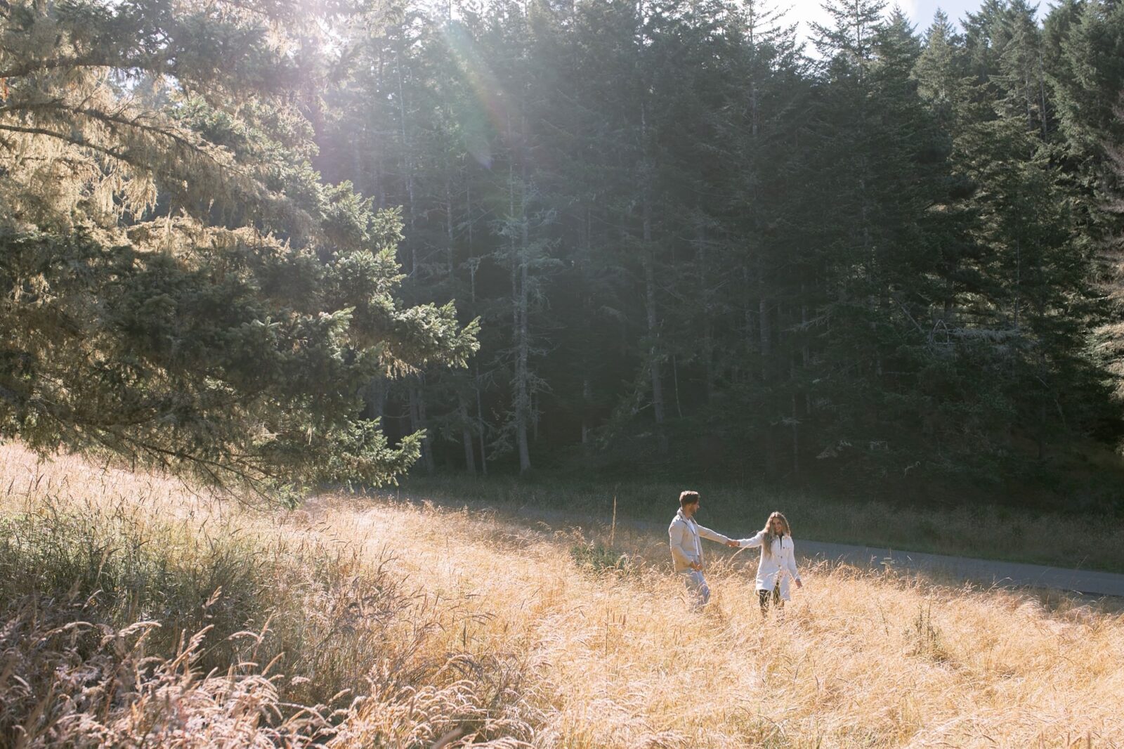 California engagement photos